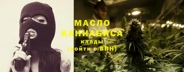 гидра Гусев